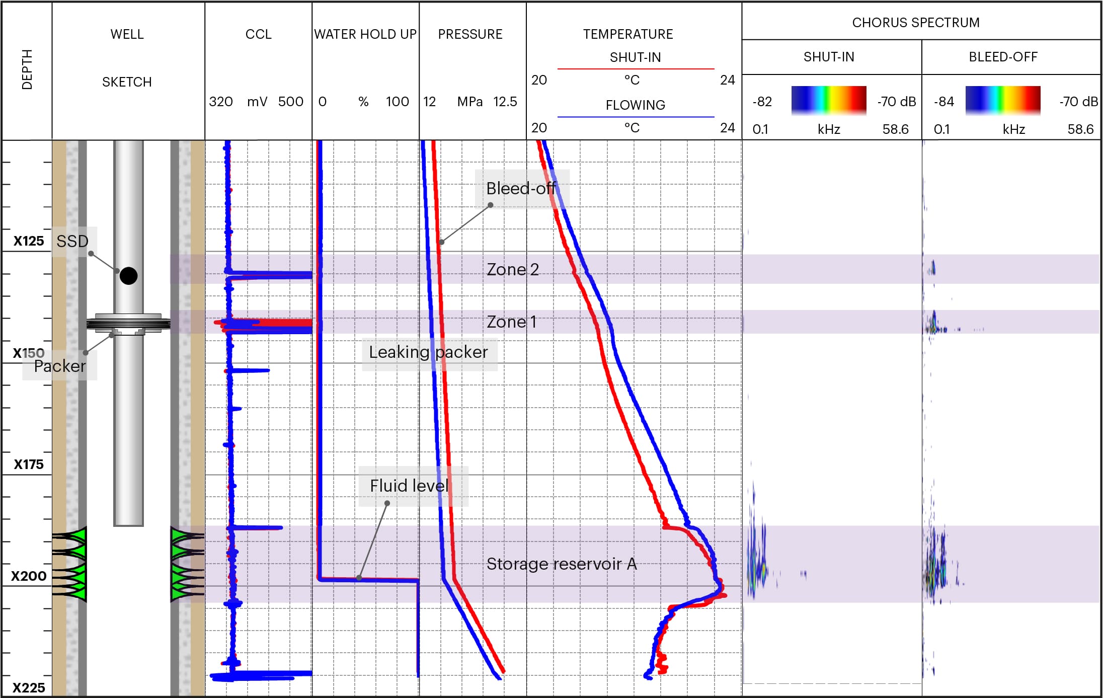 CS010-Packer-Seal-Logplot