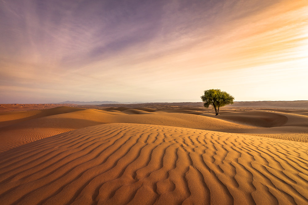 Sand Flow product