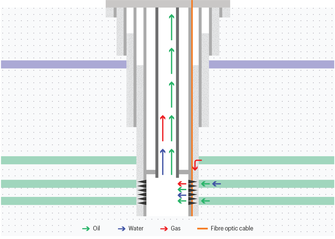 CS019 Fibre Flow_Well sketch